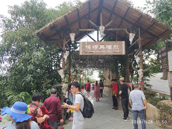 2018年元月，单位组织公司员工三亚旅游